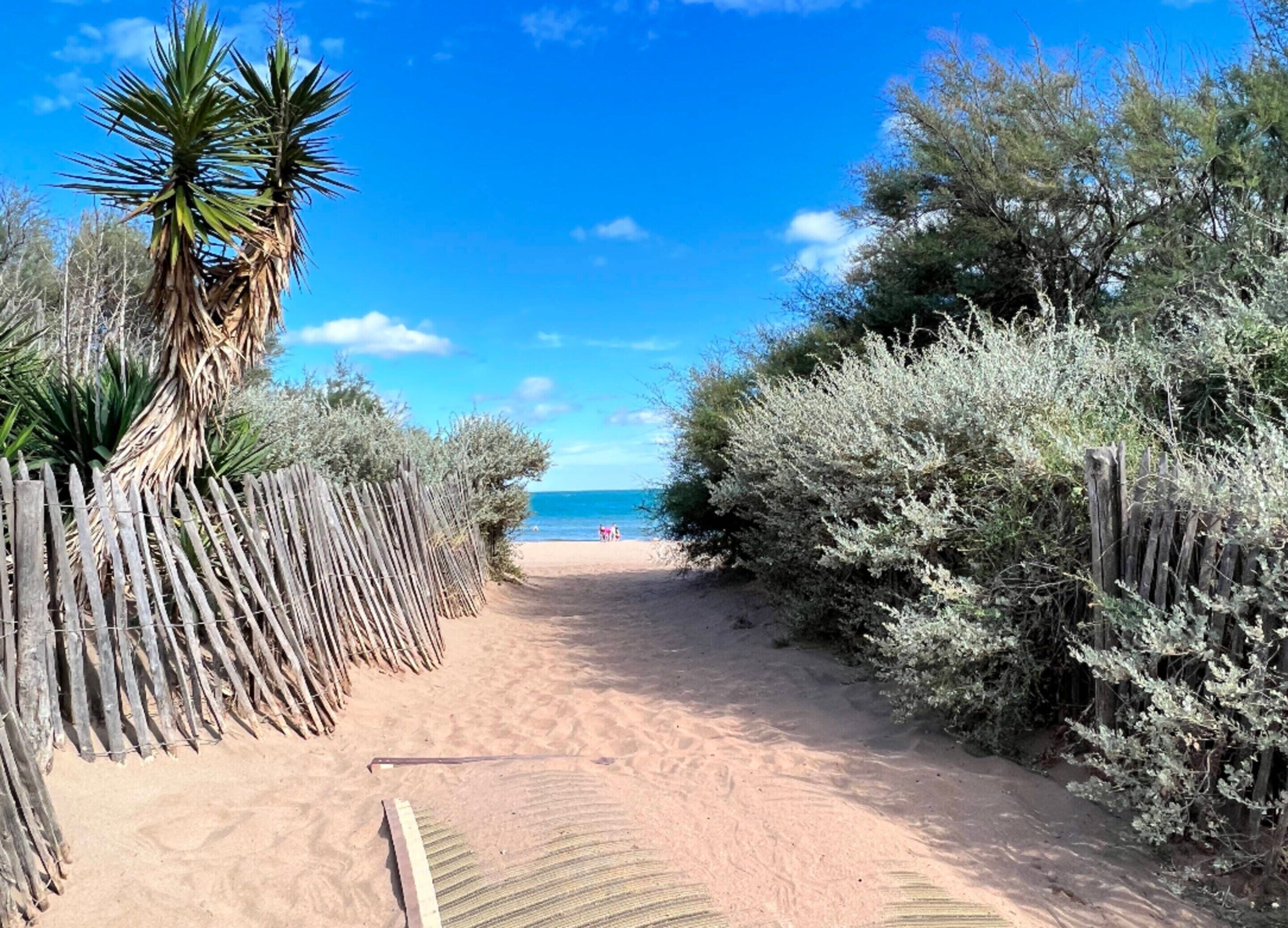 Un camino de arena bordeado por vallas de madera y abundante maleza, que conduce a una playa bajo un cielo azul despejado.