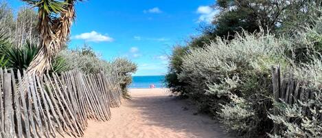 Un camino de arena bordeado por vallas de madera y abundante maleza, que conduce a una playa bajo un cielo azul despejado.