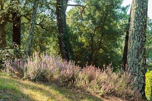 Boendeområde