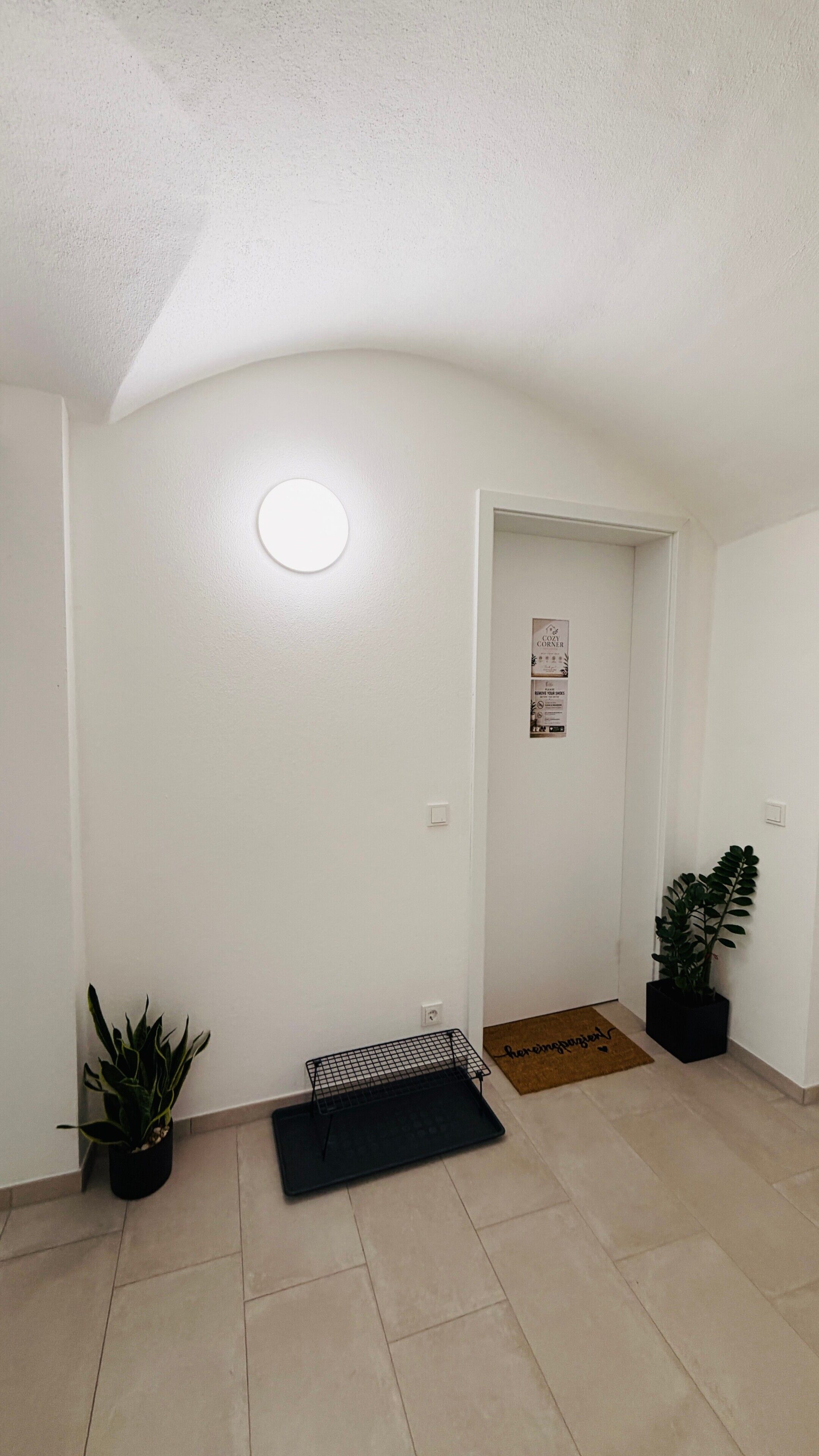 A hallway with a white wall, a door, a potted plant, a black wire shelf, and a doormat.