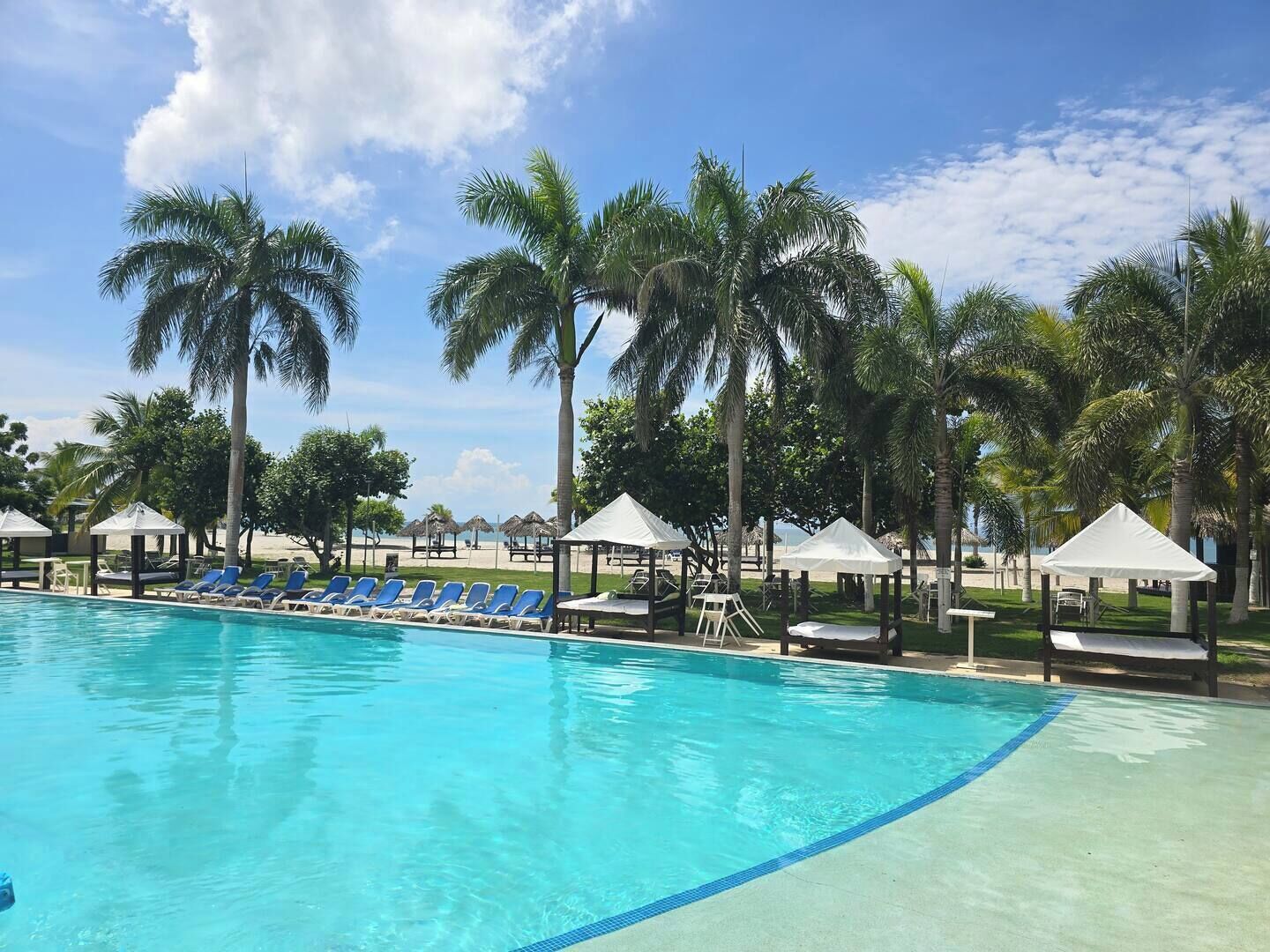A swimming pool with blue water, surrounded by lounge chairs and palm trees.