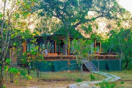 Property grounds. Daga Camp – Bed & Breakfast with a Hunting Edge in Mikumi