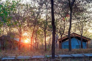 Property grounds - Daga Camp – Bed & Breakfast with a Hunting Edge in Mikumi (Mikumi)