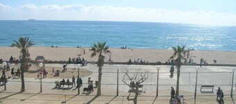 Apartment Beach Front Canet