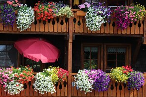 A wooden balcony with multiple flower planters and a red umbrella. - Panoramic Apartment 1 – NEW! Includes 3 Worlds Card – 140 Free Attractions (Bernau im Schwarzwald)