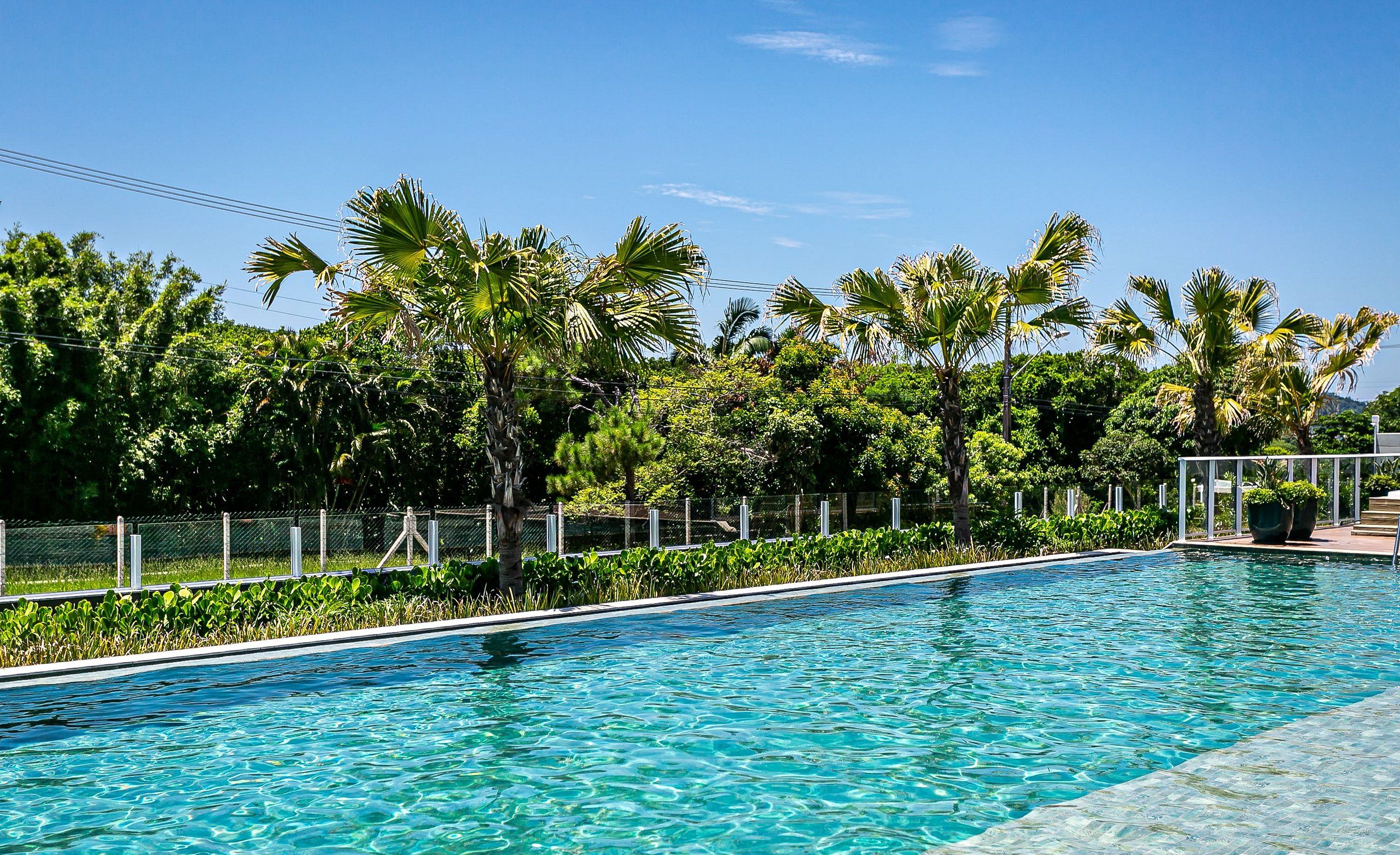A clear blue pool surrounded by lush greenery and palm trees.