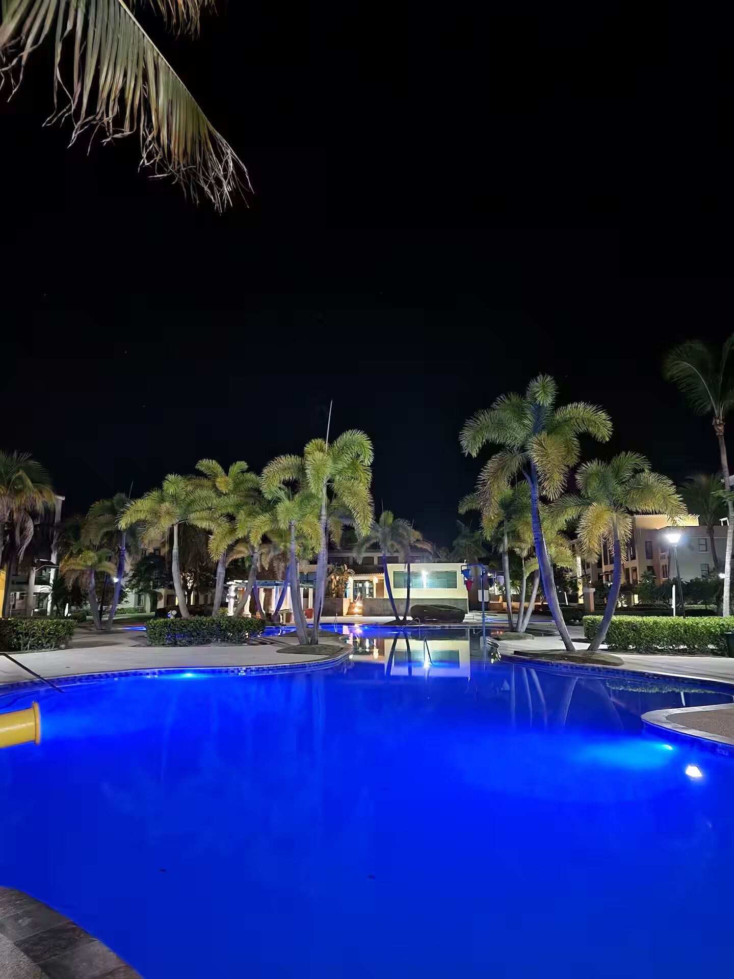 A nighttime pool area with palm trees and buildings in the background.