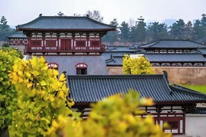 Vue depuis l’hébergement