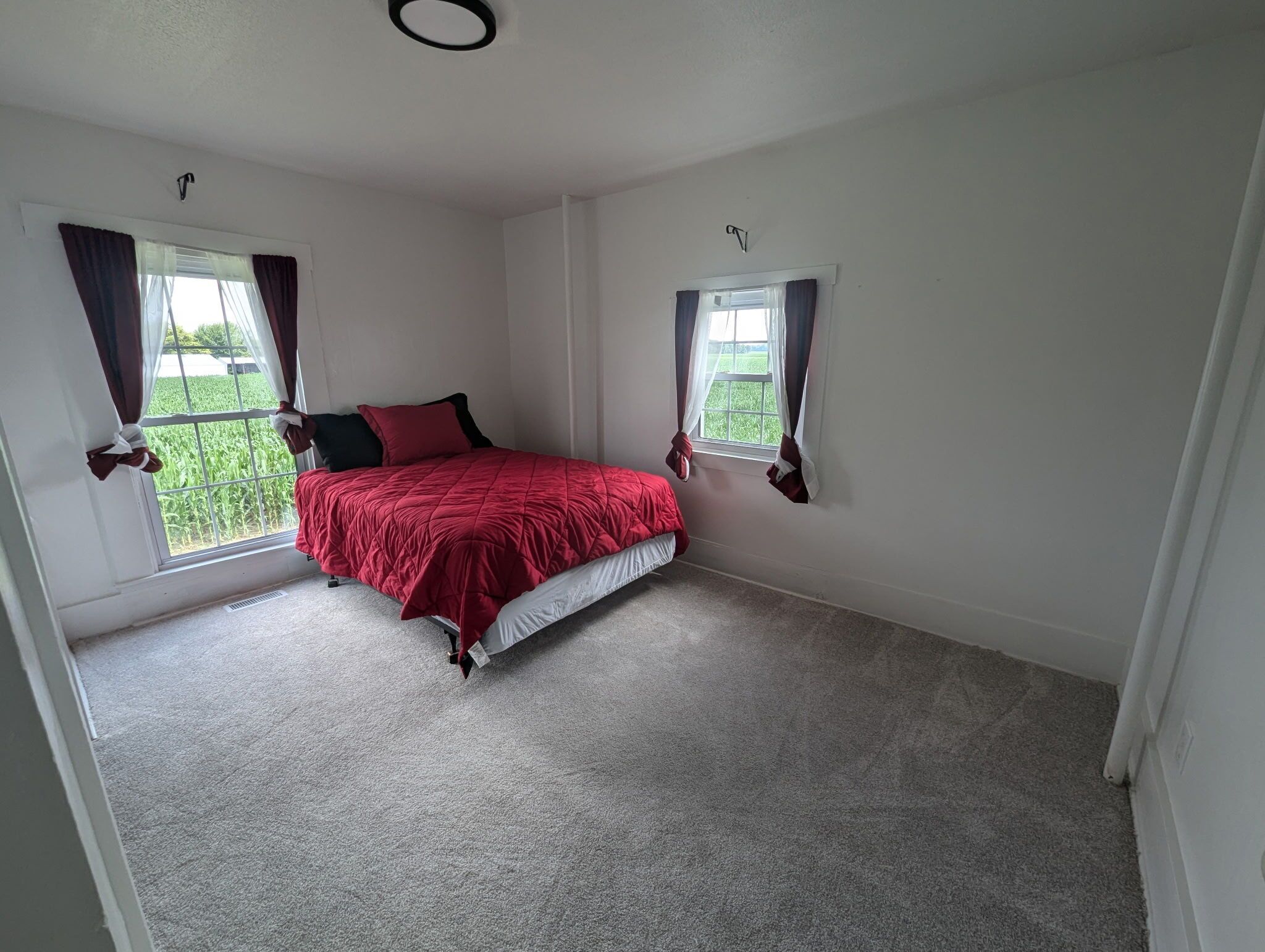 A bedroom with a bed, two windows with curtains, a carpeted floor, and a ceiling light.