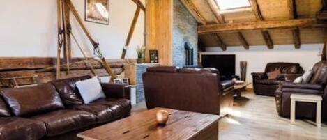 Smart TV, fireplace, video games, DVD player