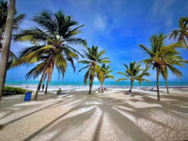 Chaises longues, serviettes de plage
