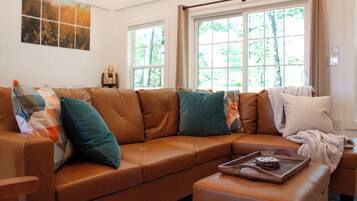 Smart TV, fireplace, books