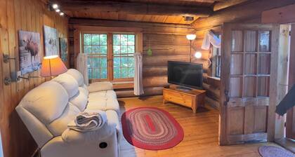Cozy Lakeside Cabin – Your Private Island Retreat