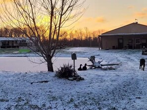 Property grounds