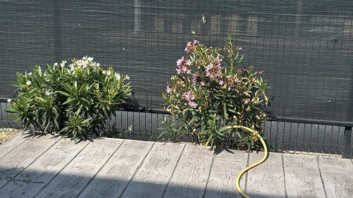 Villa moderne entre la Mer & Les Vignes