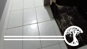 Ein schmaler Flur mit Fliesenboden, einer Holztür am Ende und einem an der Wand befestigten Wäscheständer.
