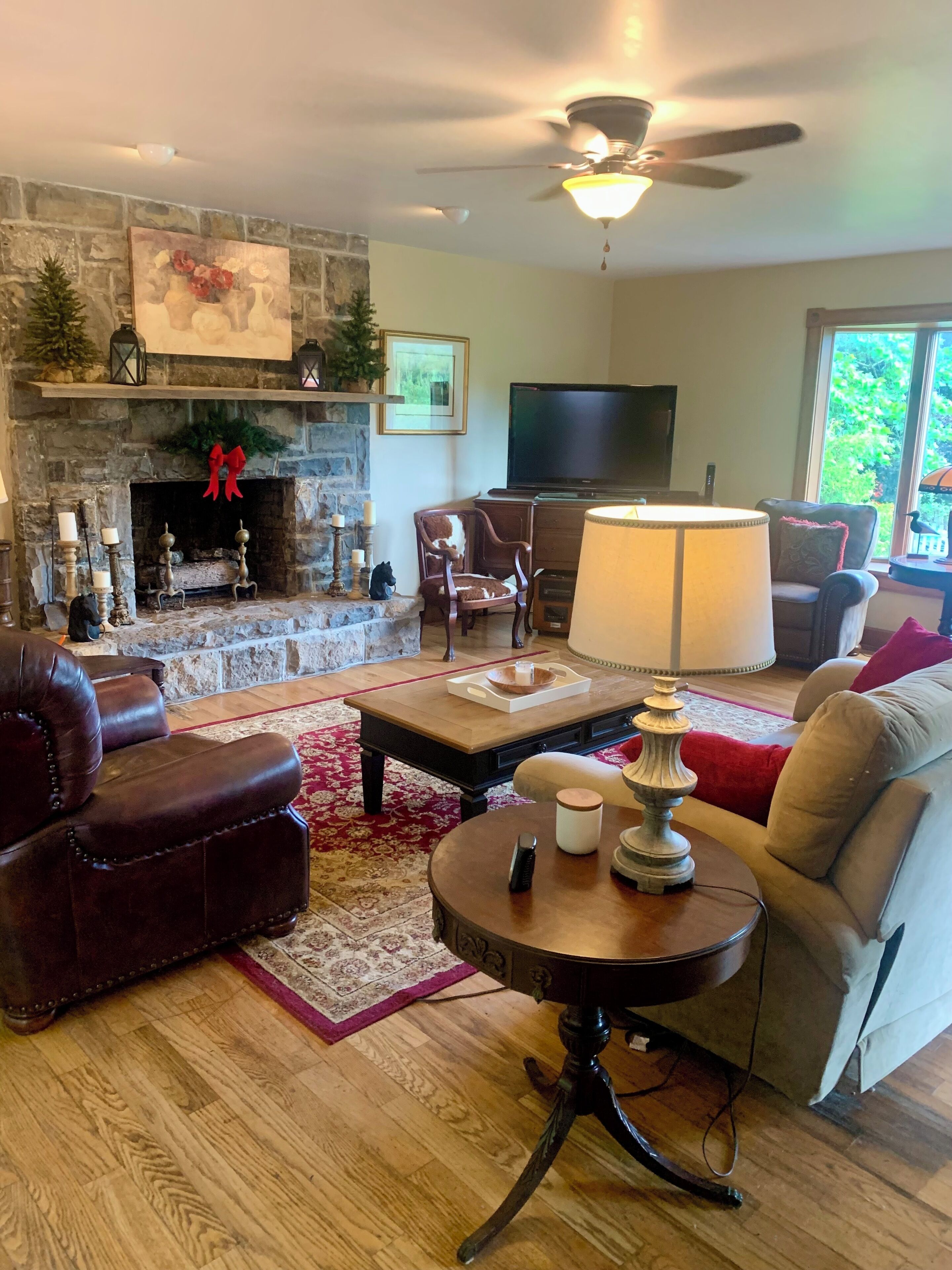 TV, computer monitors