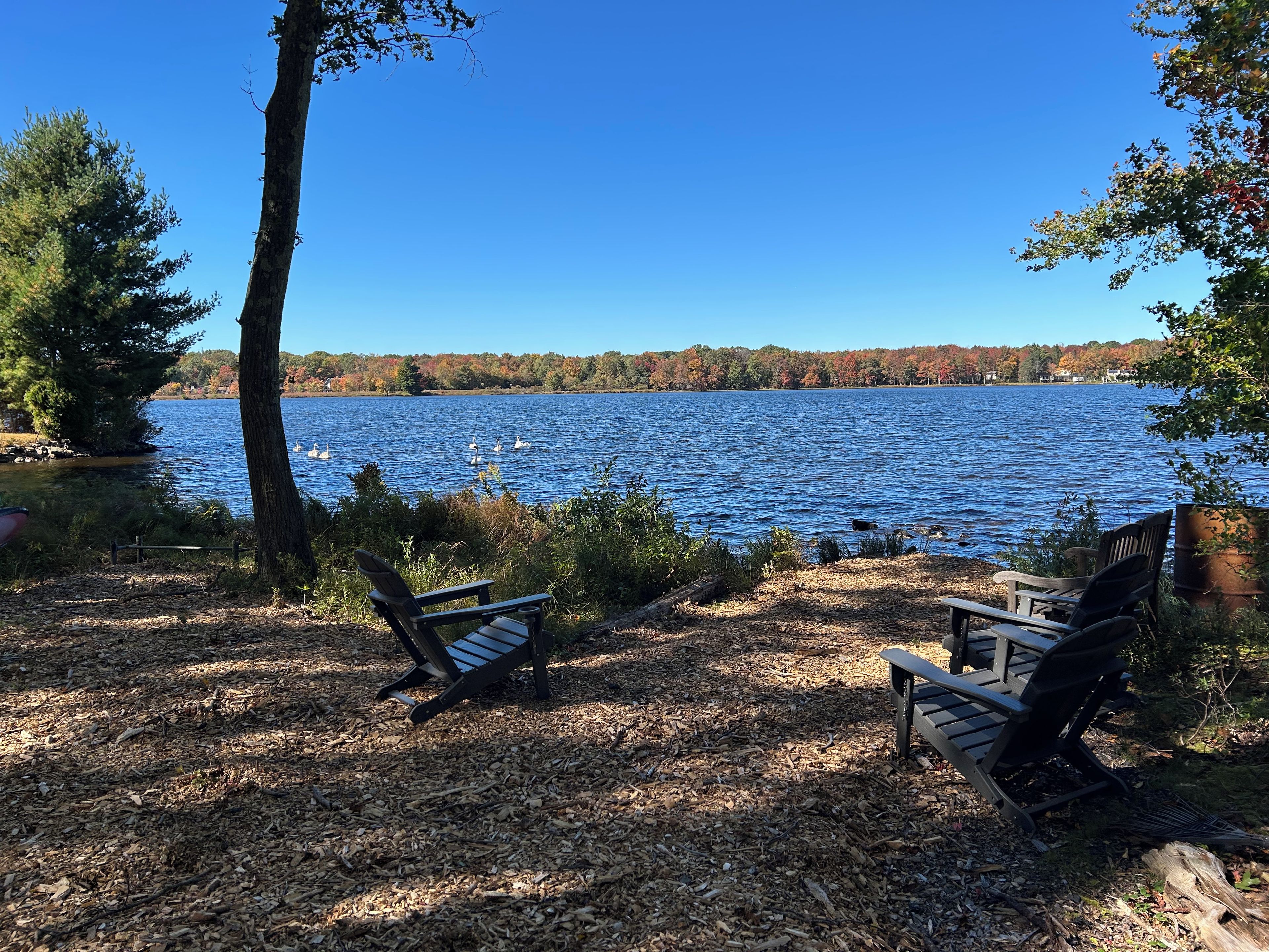 A lakeside view with two Adirondack chairs facing the water, surrounded by trees and a clear sky.