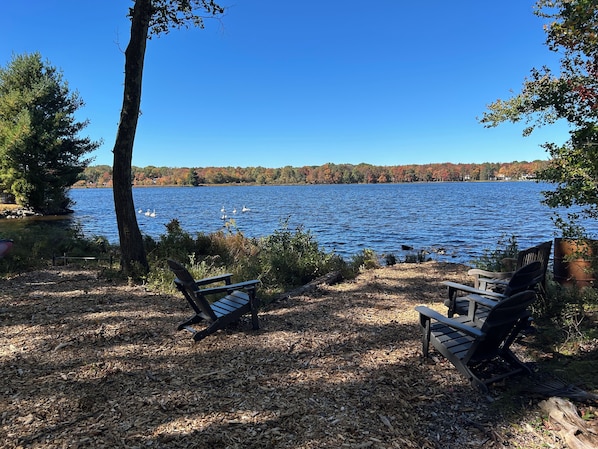 A lakeside view with two Adirondack chairs facing the water, surrounded by trees and a clear sky.