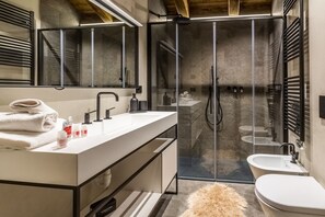 Shower, hair dryer, bidet, towels