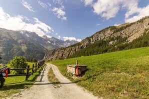 Image sans description, 3 de 41, bouton