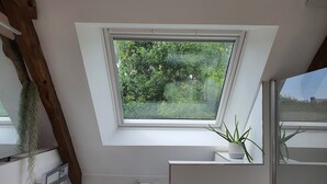 Een kamer met een dakraam, een potplant en een witte muur.