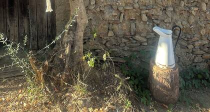 Cozy cottage in a peaceful village surrounded by nature