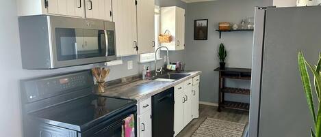 Microwave, oven, stovetop, dishwasher