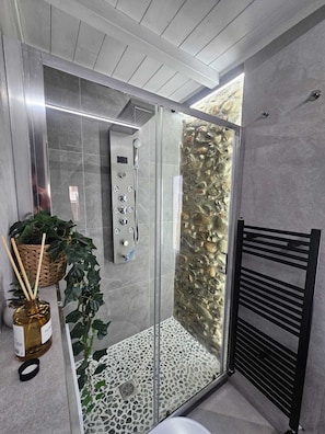 Shower, hair dryer, bidet, towels