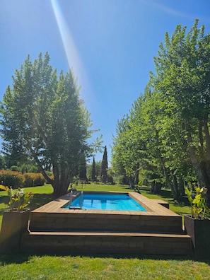 Una piscina rettangolare con gradini d'accesso, circondata da vegetazione lussureggiante e alberi.