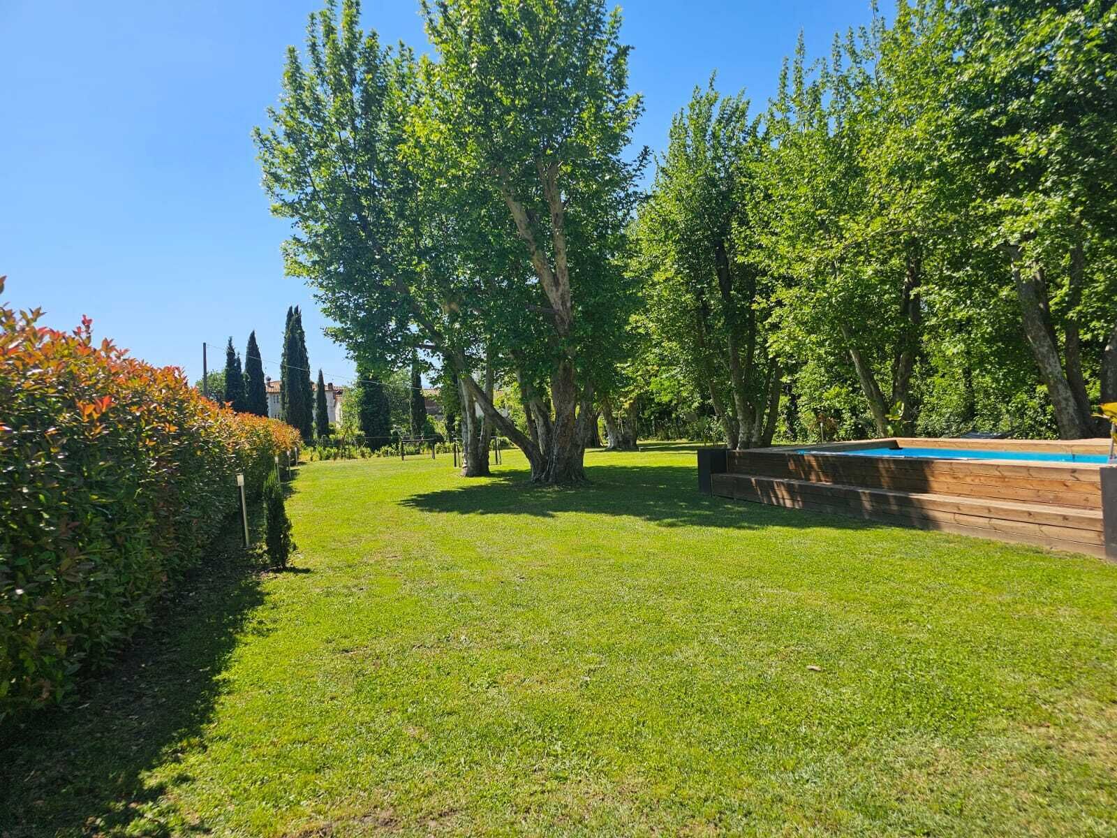 A well-maintained garden with a swimming pool, trees, and a hedge.