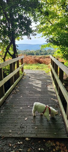 The Nook is a cosy holiday let in Rostrevor at the foot of the Mourne mountains.