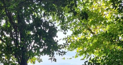 The Nook is a cosy holiday let in Rostrevor at the foot of the Mourne mountains.