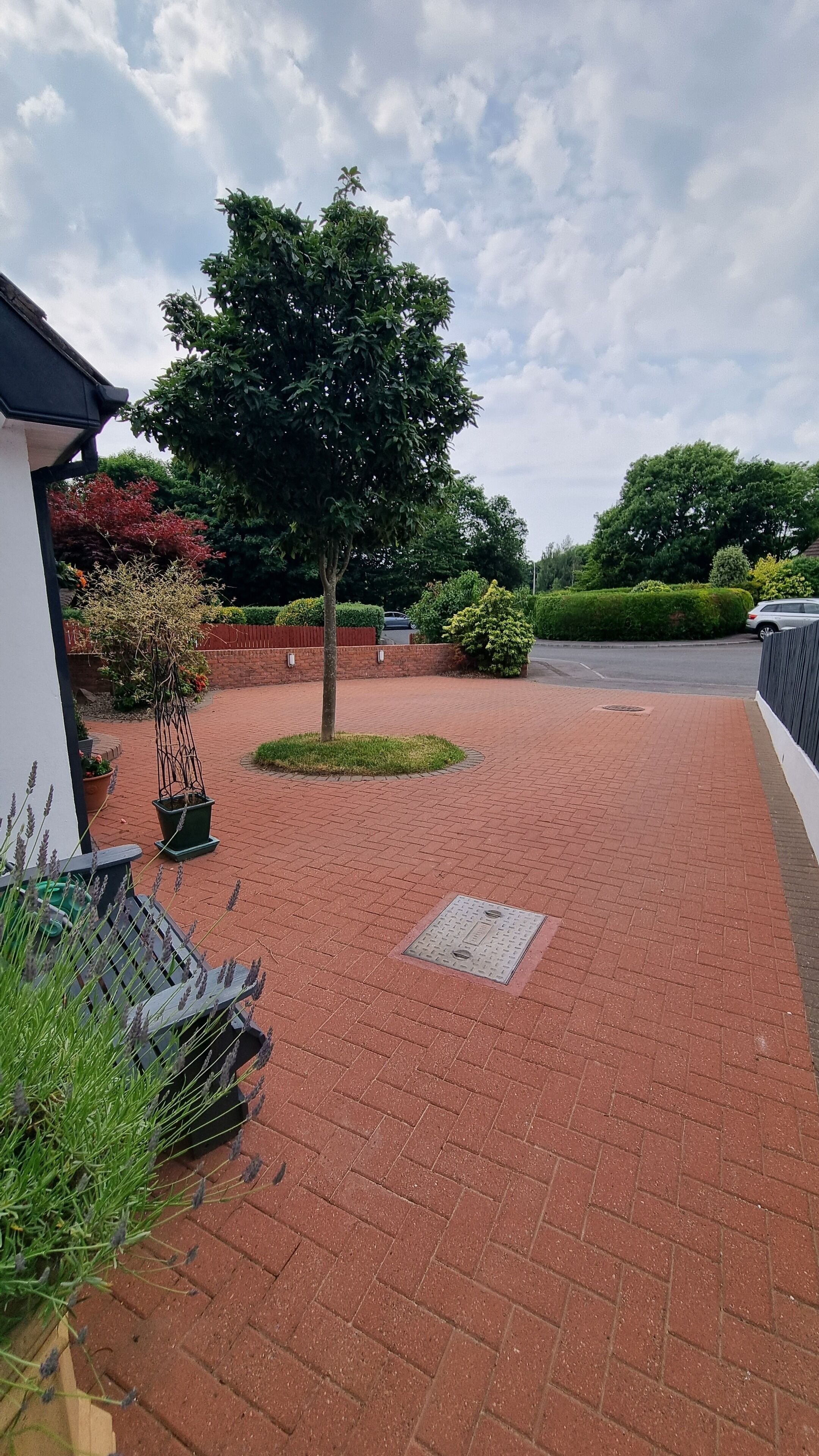 Ein gepflasterter Weg mit Baum und Topfpflanzen.