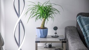 A potted plant on a small table next to a couch in a room with a modern design. - The Rebel Ridge, 1 blk off Sq, Velvet Ditch Villas (Oxford)