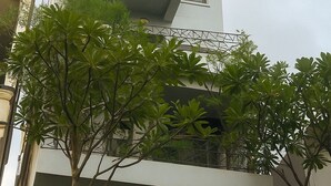 Um edifício com várias andares, varandas e vegetação.
