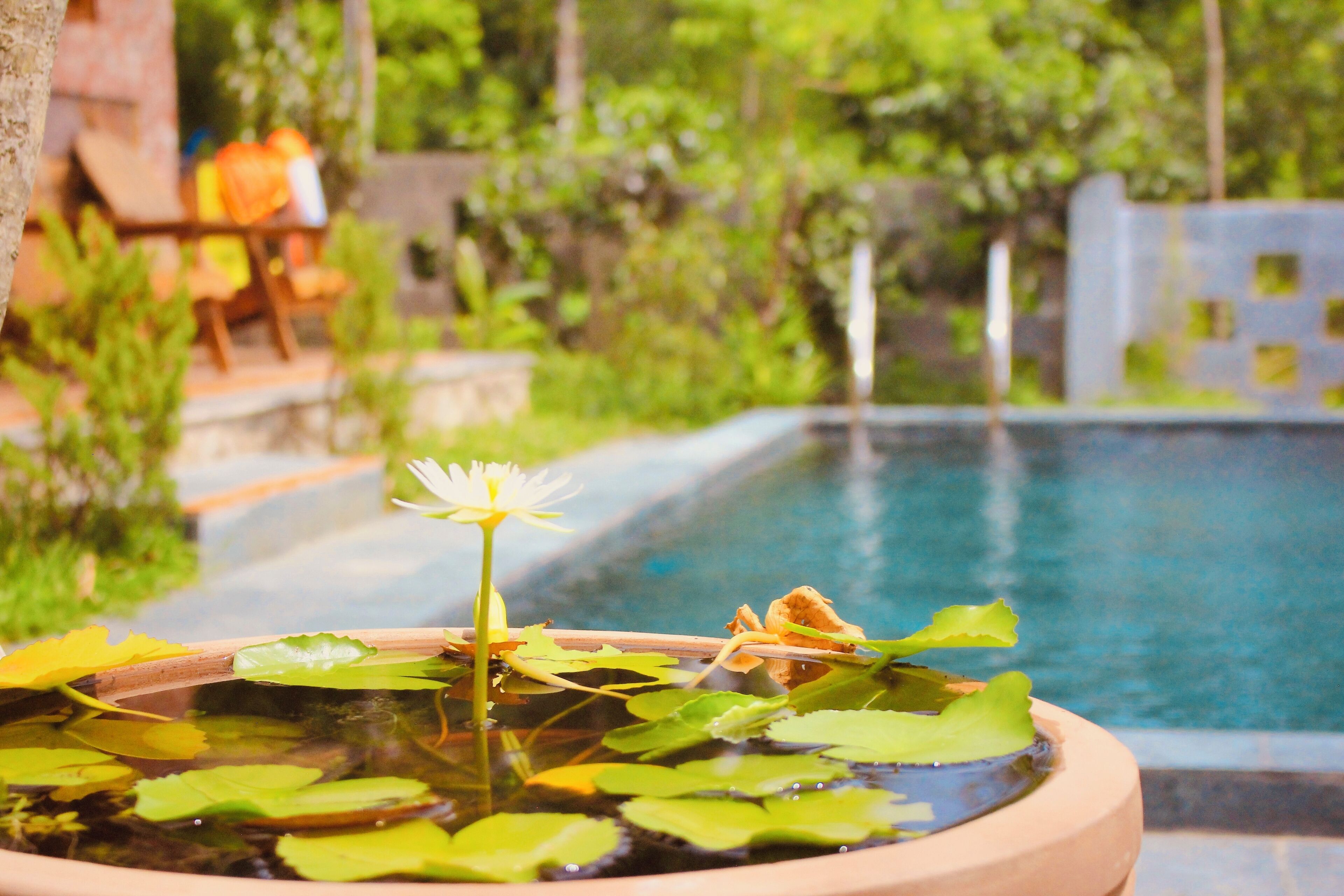 House, 2 Bedrooms, Private Pool, Garden View | Pool