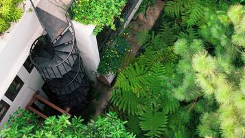Un jardín en la azotea con una escalera en espiral, plantas verdes exuberantes y diversas helechos.