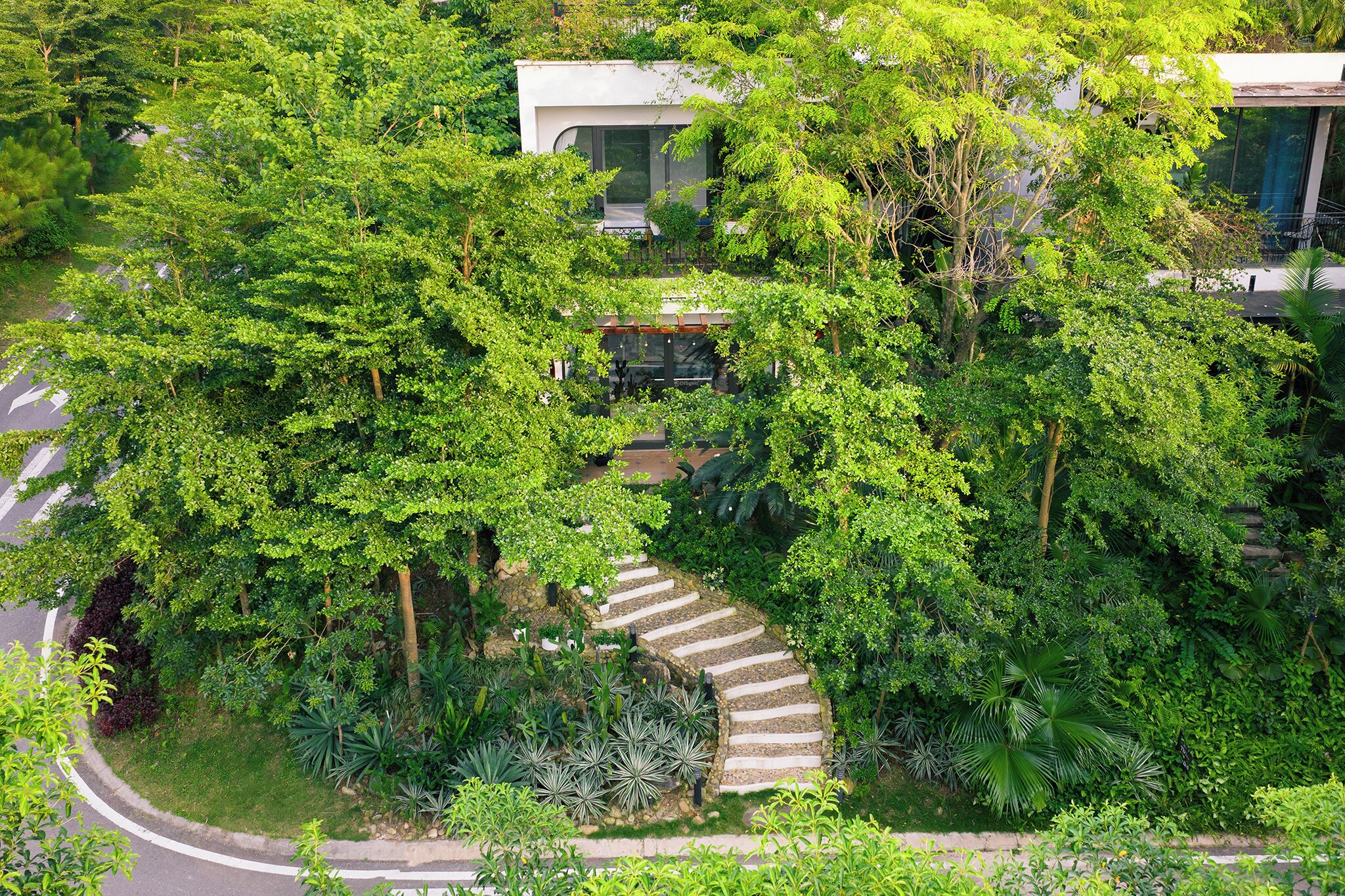 Un edificio moderno rodeado de exuberante vegetación, con un camino de piedra serpenteante que lleva a una zona cubierta.