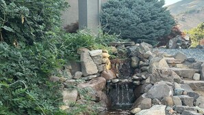 A small waterfall feature surrounded by rocks and greenery, with a solar-powered pump visible.