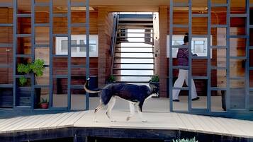 Cabin | Property grounds