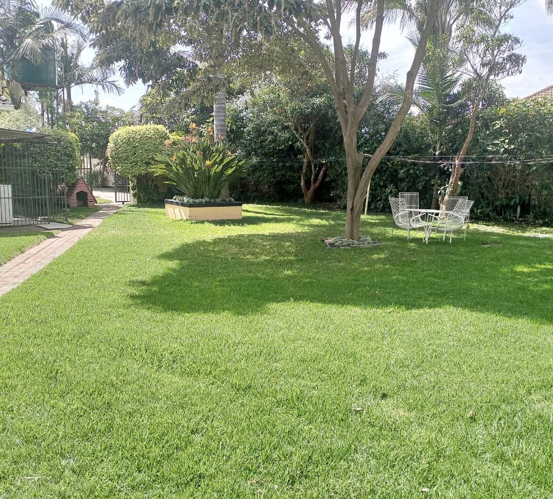 A well-maintained grassy yard with a small tree, a metal chair, and a garden bed.