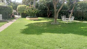 A well-maintained grassy yard with a small tree, a metal chair, and a garden bed.