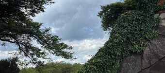 Three bedroomed house  in Juliasdale - 2192