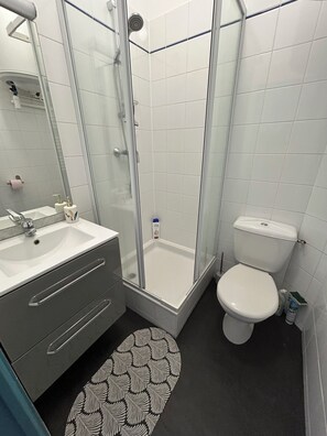 Hair dryer, soap, shampoo, toilet paper