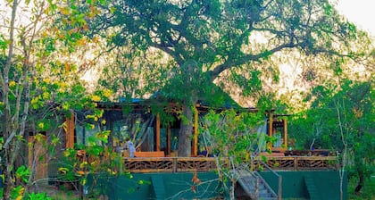 Daga Camp - Amazing bed & breakfast with AC in Mikumi