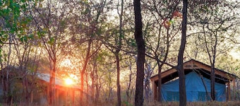 Daga Camp - Amazing bed & breakfast with AC in Mikumi