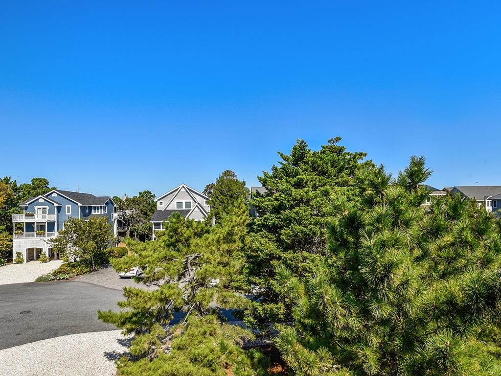 A residential area with houses, a driveway, and a large pine tree.