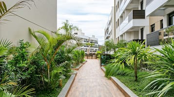 Un sendero bordeado por abundante vegetación y edificios modernos.