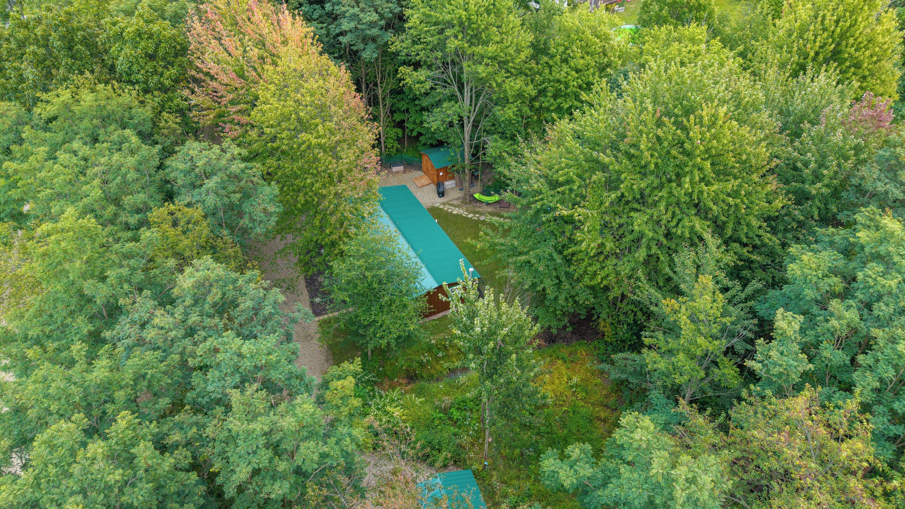 Un chalet isolé, entouré d’une forêt dense, avec un sentier bien tracé menant à l’entrée.